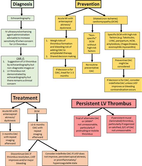 lv thrombus treatment guidelines.